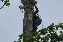 1_20210512_112131-min