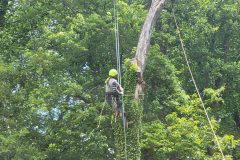 1_20210610_120836-min