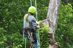 1_20210610_120900-min