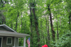 1_20210610_162200-min