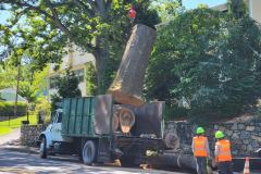 1_20210617_110328-min