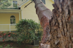 20210422_170523-min