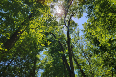 20210519_130125-min