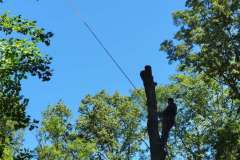 20210531_103205-min
