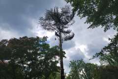 20210610_141818-min