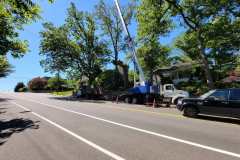 20210617_104136-min