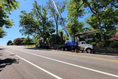 20210617_104142-min