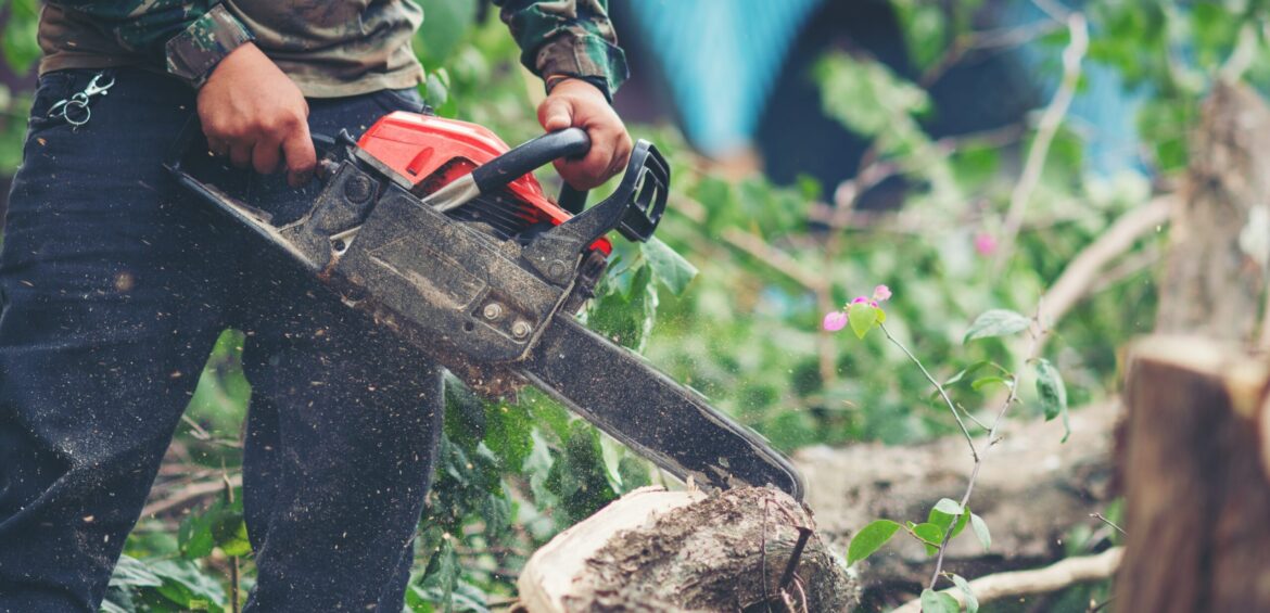 Tree Removal Service